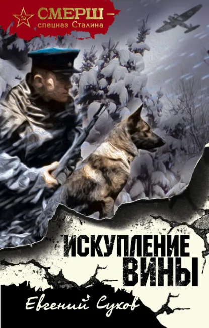 Обложка книги «Искупление вины»